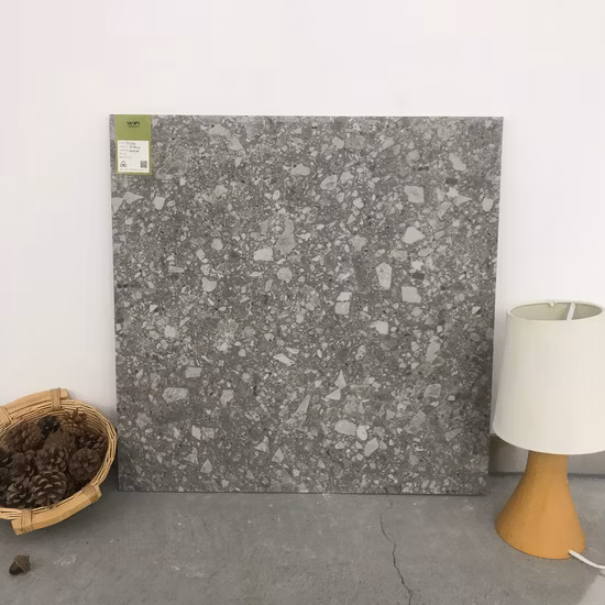 Piastrella naturale/lappata Piastrella in ceramica per pavimenti e rivestimenti in gres porcellanato 600*600mm (TER604