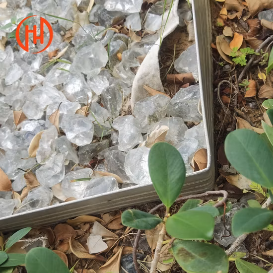 Bordo in metallo per decorazioni da giardino con fiori ed erba/cerchio